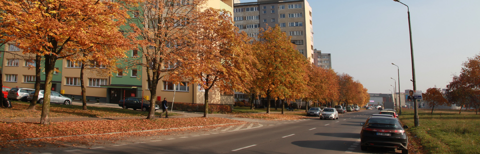 Jesień 06