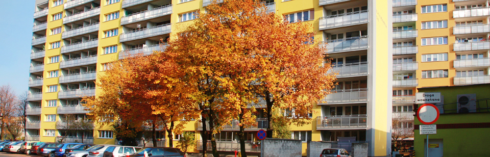 Jesień 10