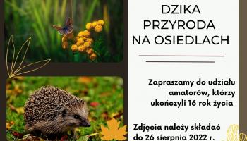 konkurs foto