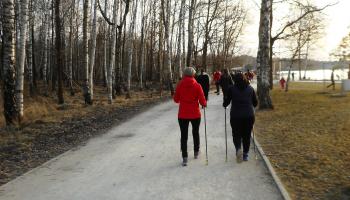 nordic walking